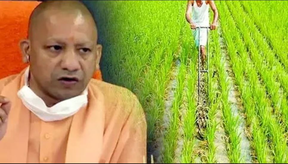 किसान सम्मान दिवस